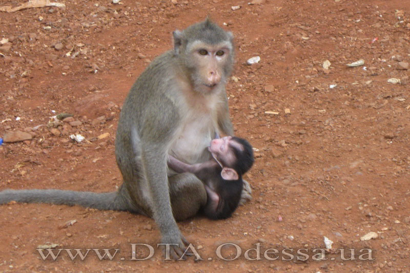 Thailand, Kanchanaburi, Excursion on the River Kwai